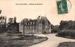 Sully Sur Loire - Le Château Des Buissons - Sully Sur Loire