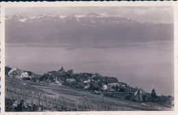 Grandvaux VD Et Les Alpes (50546) - Grandvaux