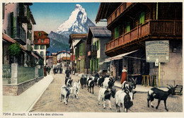 CPA - Zermatt - La Rentrée Des Chèvres - Matt