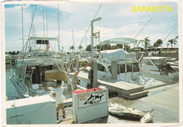 Florida Sarasota Yacht Basin Charter Boat Shark - Sarasota