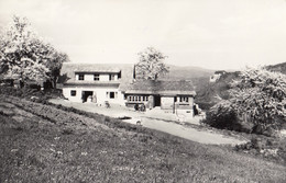 AK - NÖ - Wienerwald - Peilsteinhütte - Gasthof Mayer - 1940 - Baden Bei Wien
