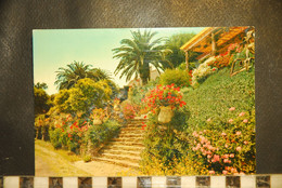 CP,  83, LA COTE D AZUR - ESCALIER FLEURI AU RAYOL - Rayol-Canadel-sur-Mer