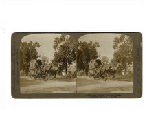 Old Original Photo Stereoview Camel Caleche Chameau Turnout British India China Asia Oude Foto Stereoscope Stereokaart - India
