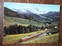 L41/116 APPENZELLERBAHN MIT SANTIS . TRAIN - Other & Unclassified