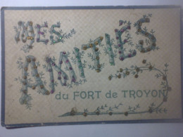 Mes Amitiés Du Fort De Troyon - VPF Déposé - Dorures Multicolor - Souvenir De...