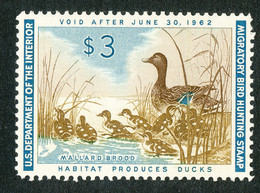 HUNTING PERMIT STAMPS - DUCKSTAMP 1961 - MNH  (HP28) - Duck Stamps