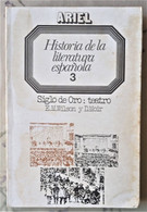 HISTORIA DE LA LITERATURA ESPAÑOLA. SIGLO DE ORO: TEATRO. DE E.M.WILSON Y D.MOIR - Autres & Non Classés