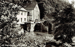 CPSM BELECKE / Möhne : Stütings Mühle - Photo Véritable - Warstein