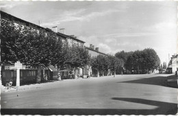 SAINT-PALAIS - Place De La Mairie Et Les Allées - Saint Palais