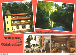 Furth Im Wald / Gasthof Steinbruchsee (D-A322) - Furth