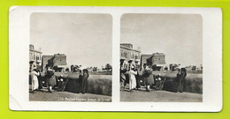 Medinet Fayoum. Groupe De La Rue Photos Stéréoscopiques Egypte - Stereo-Photographie