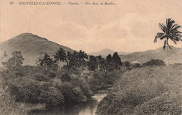 CPA - Nouvelle Calédonie - Témala - Site Dans La Rivière - Edit. B. Et F. - Palmier - Rivière - Nieuw-Caledonië