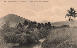 CPA - Nouvelle Calédonie - Témala - Site Dans La Rivière - Edit. B. Et F. - Palmier - Rivière - New Caledonia