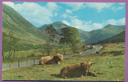 The Road To The Hills, Glen Nevis - Inverness-shire