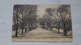 ANTIQUE POSTCARD PORTUGAL CASTELO BRANCO - PASSEIO PUBLICO UNUSED - Castelo Branco