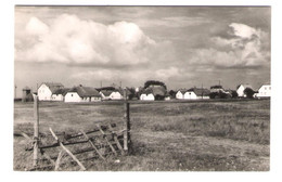 Germany - Neuendorf Auf Hiddensee - Hiddensee