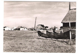 Germany - Neuendorf Auf Hiddensee - Hiddensee