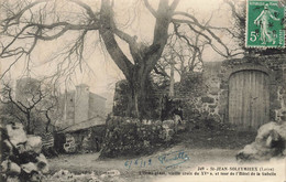 St Jean Soleymieux * L'orme Géant, Tour De L'hôtel De La Gabelle * Arbre - Saint Jean Soleymieux