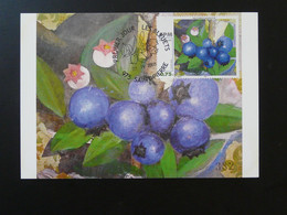Carte Maximum Card Peinture Paintings Les Bleuets Saint Pierre Et Miquelon 2003 - Maximumkaarten