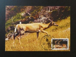 Carte Maximum Card Cerf Deer Saint Pierre Et Miquelon 2003 - Cartoline Maximum