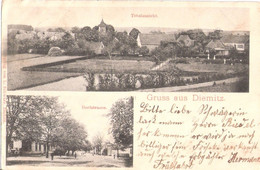 Gruß Aus DIEMITZ Mirow Mecklenburg Dorfstraße Belebt Totalansicht 7.6.1908 Nachverwendet Ungeteilte Rückseite Also 1905 - Roebel