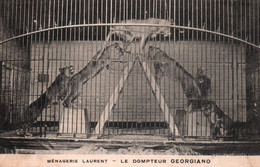 16817 Le Dompteur GIORGIANO Ménagerie LAURENT Lions   Artiste Spectacle  Phénomène De Foire Cirque  ( 2 Scans) - Cirque