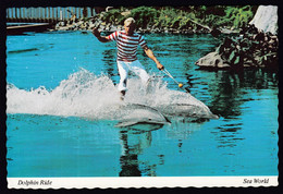 USA United States / Roman Ride, Dolphin Show, Sea World, San Diego, California / Unused, Uncirculated - San Diego