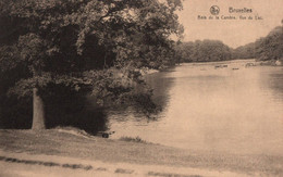 Bruxelles - Bois De La Cambre, Vue Du Lac - Forêts, Parcs, Jardins