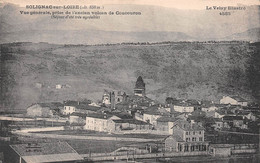 SOLIGNAC-sur-LOIRE (Haute-Loire) - Vue Générale Prise De L'ancien Volcan De Coucouron - Solignac Sur Loire