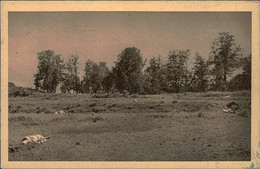 AFRICA - ERITREA - PIANA ANTISTANTE AL PASSO MECAN CON CADAVERI ABISSINI - 1930s  (11741) - Eritrea