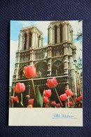 Albert MONIER : PARIS , Notre Dame - Monier