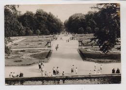 1000 BERLIN - FRIEDRICHSFELD, Tierpark Berlin (Zoo),, Südpaterre, 1963 - Hohenschönhausen