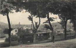 Héricourt - Vue Prise En Sortant De La Gare "train" - Héricourt