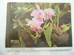 Cartolina Viaggiata "COLOMBIA CATTLEYA TRIANAE" 1985 - Colombie