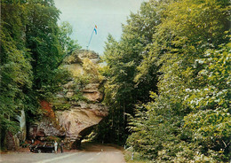 CPSM Promenade Vogelsmühle-Berdorf-Beau Timbre    L2011 - Berdorf