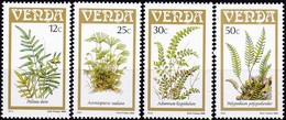 Venda 1985,  116/19, MNH **, Farngewächse. - Venda