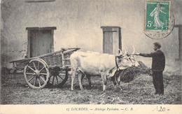 CPA Thèmes - Agriculture - Attelages - Lourdes - Attelage Pyrénées - C. B. - Oblitérée - Phototypie CH. Chambon - Equipos