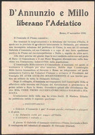 Regno - Aerogrammi - D'Annunzio E Millo Liberano L'Adriatico - Roma 17 Novembre 1919 - Volantino (17x24) Lanciato Da "Ae - Autres & Non Classés