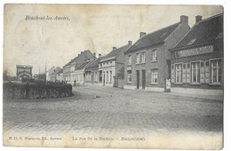 BOUCHOUT-LEZ-ANVERS  --  La Rue De La Station - Statiestraat - Böchout