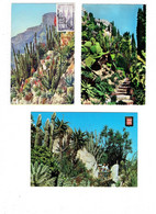 Lot 3 Cpm - MONACO - Jardin Exotique - Cactus - Aloès Céréus - - Cactus