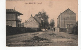 1 Oude Postkaart Esschen  Essen   Barreel Pub. Stoomkoffiebranderijen De Moriaan Esschen 1931 - Essen