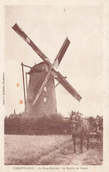 Steenvoorde * Le Steen Meulen , Le Moulin De Pierre * Thème Moulin à Vent Molen * Attelage Cheval Agricole Agriculture - Steenvoorde