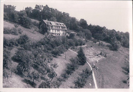 Delcampe - Essertines Sur Rolle VD, Les Vidies (11.10.53) 10x15 - Rolle