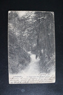 D-287 -  Brabant Flamand  Linkebeek, Le Chemin Creux Vers Rhode-St.Genèse -1919 - Linkebeek