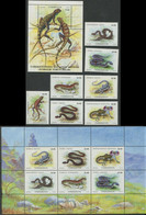 Uzbekistan:Unused Sheet, Bloc And Stamps Serie Reptiles, Snakes, Lizards, 1999, MNH - Uzbekistan