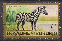 Burundi 1964 - Animal Zebra Scott#C1 - Used - Gebraucht