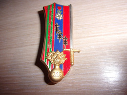 Insigne Promotion EOR COET " Slt CALLOCH " - 219° Régiment D' Infanterie - Armée De Terre