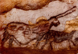 MONTIGNAC-SUR-VEZERE      ( DORDOGNE )   GROTTE DE LASCAUX . ANIMAL FANTASTIQUE DIT  " LA LICORNE " - Montignac-sur-Vézère