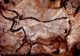 MONTIGNAC-SUR-VEZERE  ( DORDOGNE )  GROTTE DE LASCAUX . GRANDE SALLE : TAUREAU - Montignac-sur-Vézère