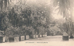 CONAKRY - N° 305 - ALLEE DE LA MAIRIE - Guinée Française